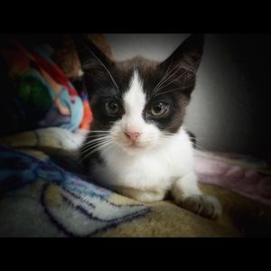 Meet your Posher, Margaret